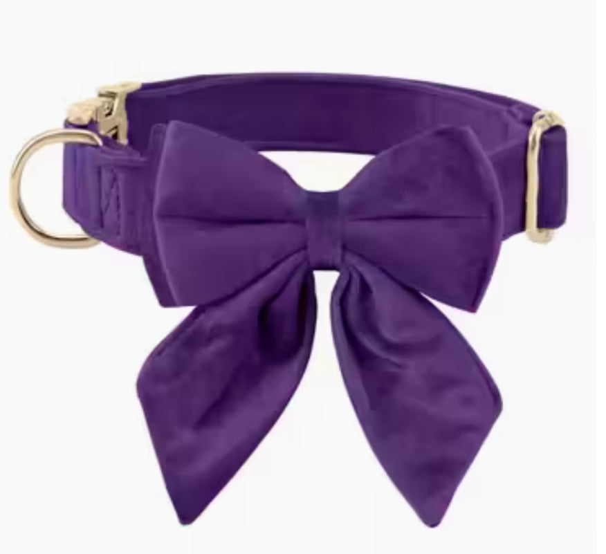 Purple bow dog collar
