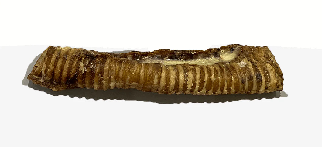 Large trachea