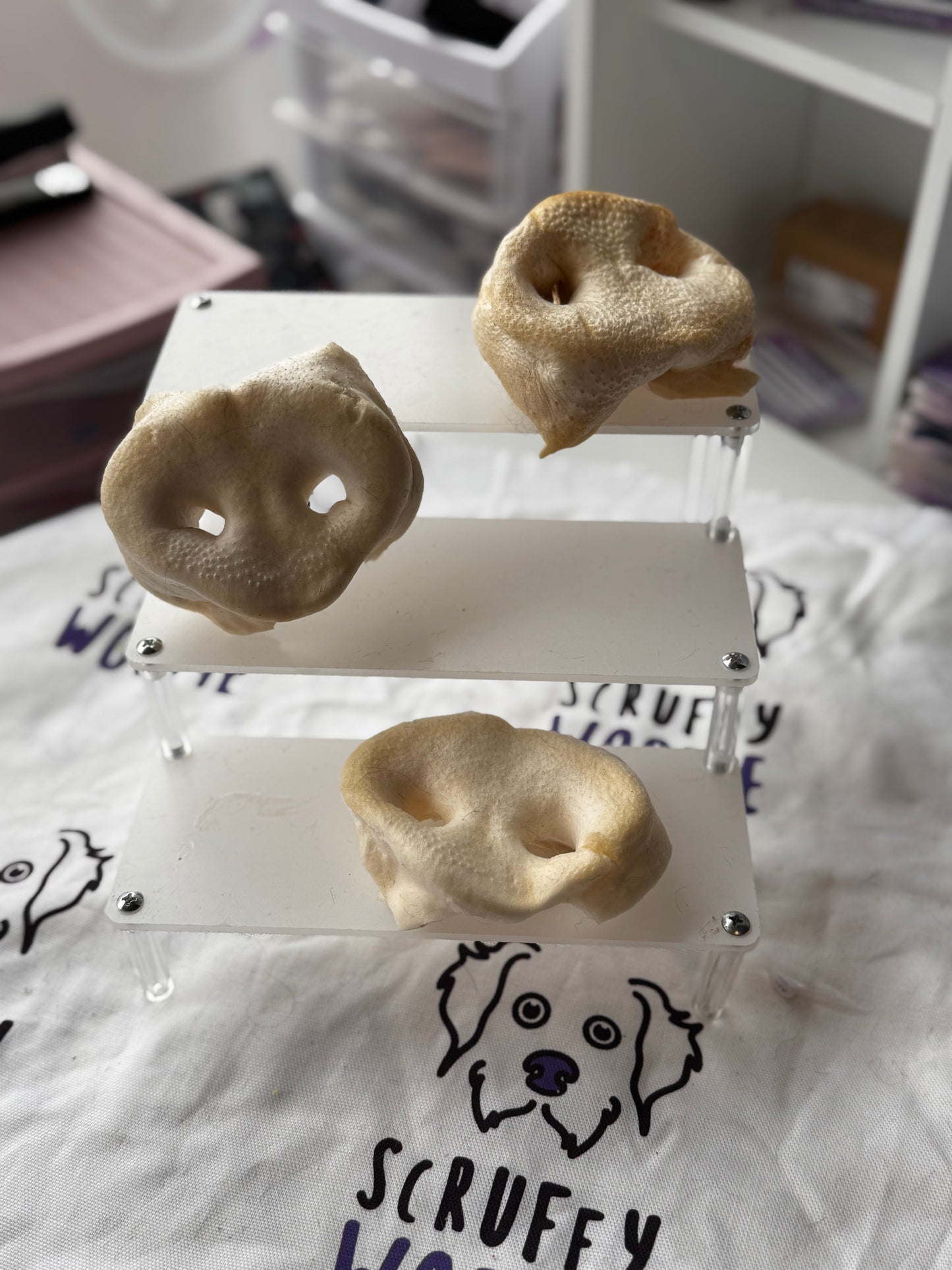 Puffed pig snout