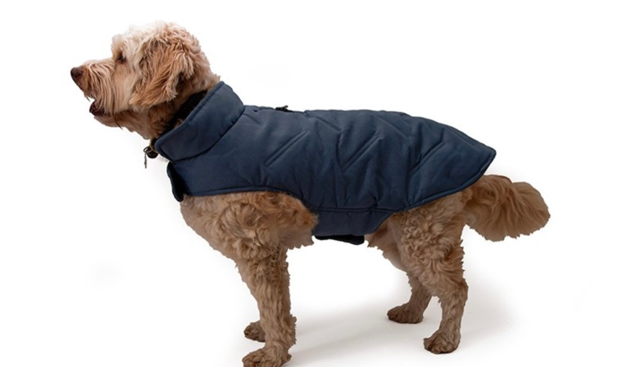 Midnight blue padded coat 40cm