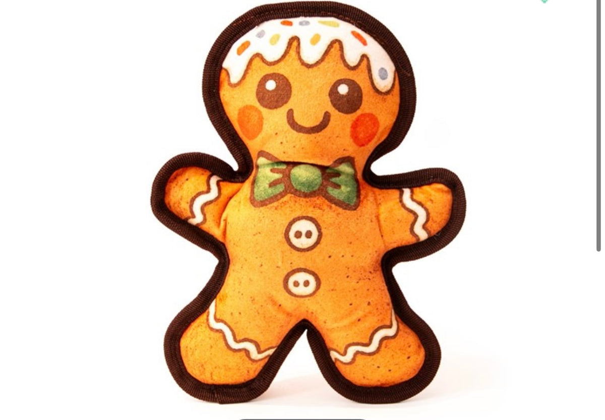Buddy the tough biscuit