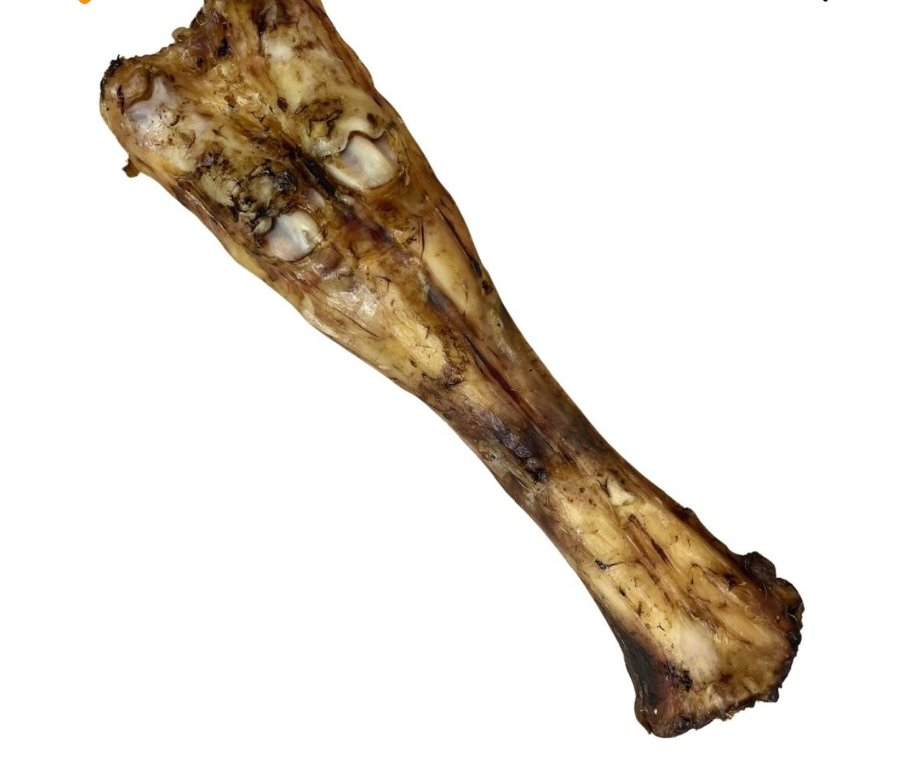Large beef bone