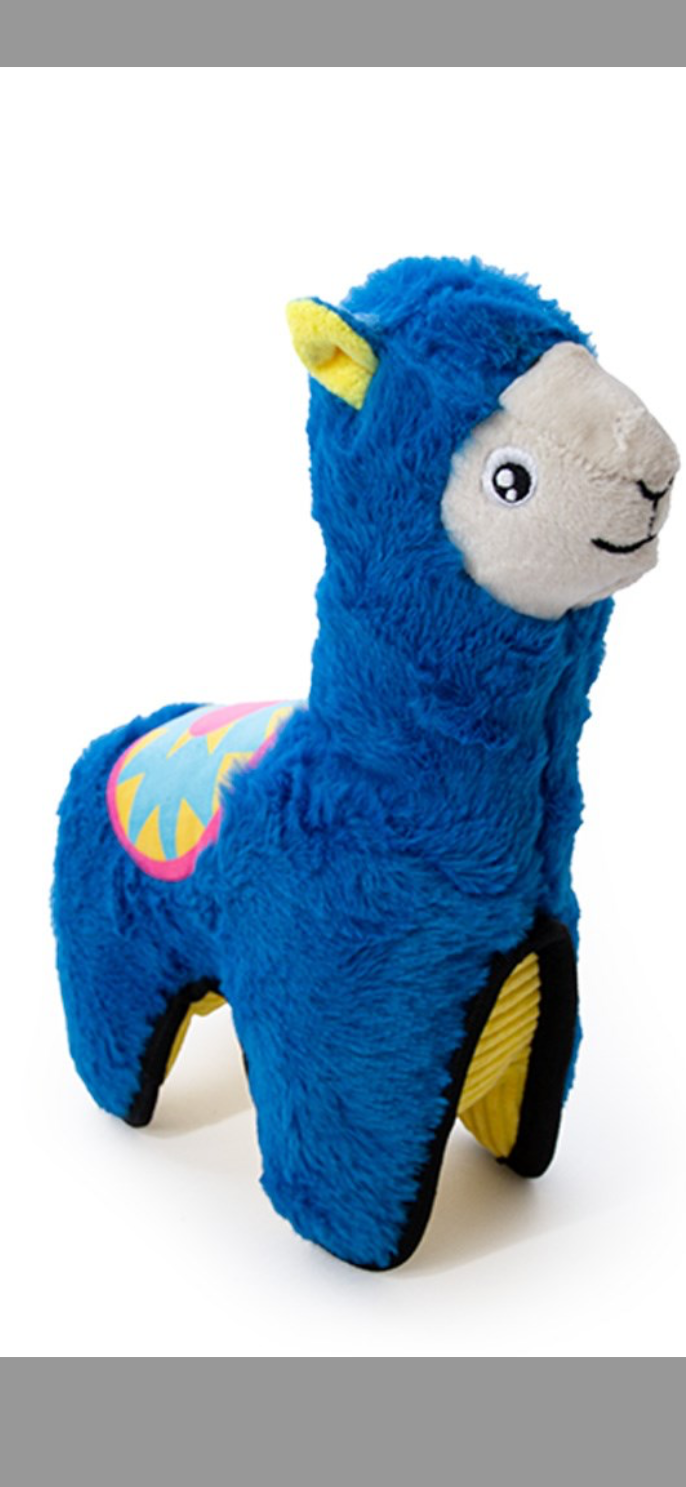 Llama
