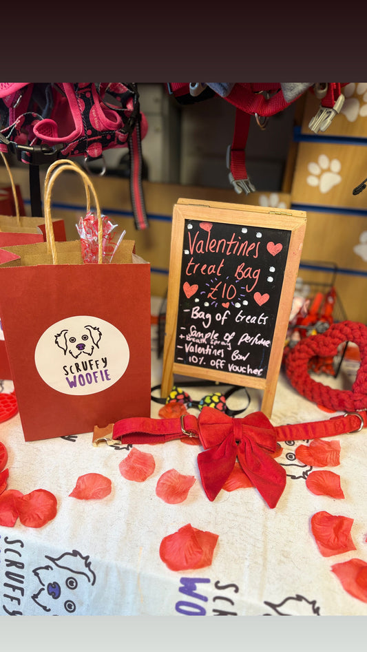 Valentines treat bag