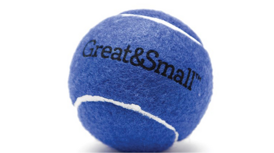 Squeaky blue tennis ball 3pack