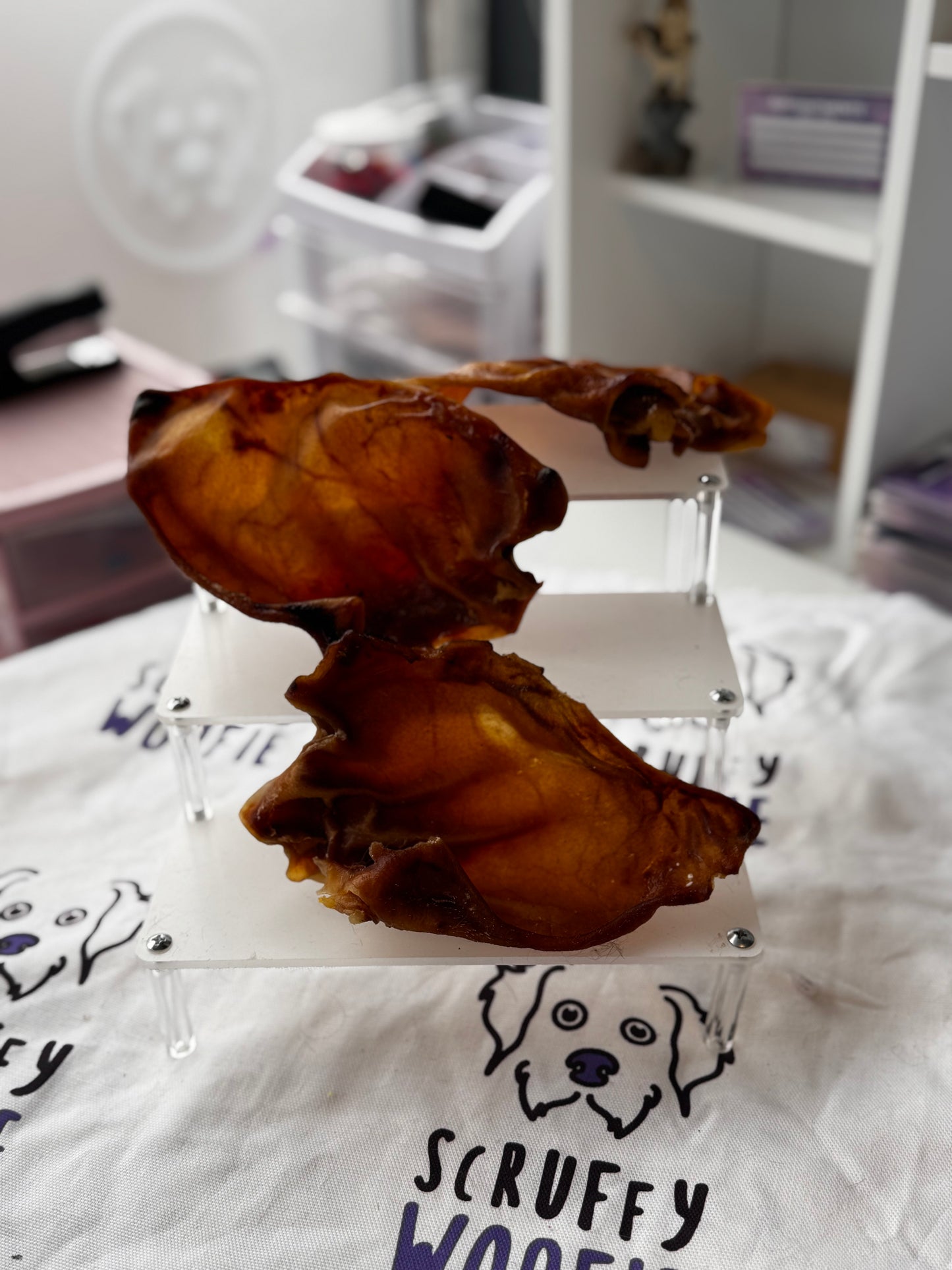 Pigs ear