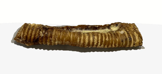 Large trachea