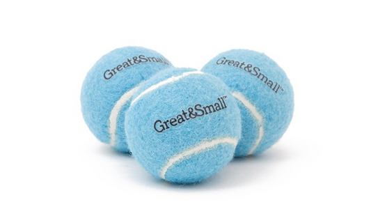 Little & lively squeaky blue mini tennis balls