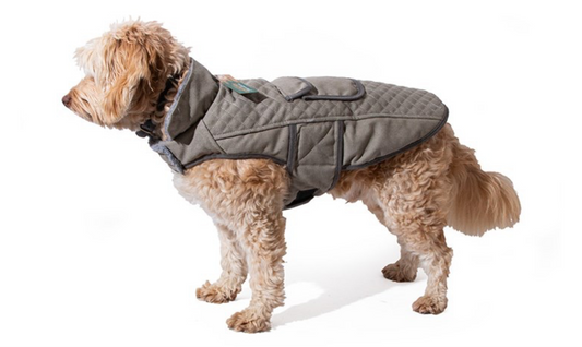 Country adventure grey canvas coat 40cm