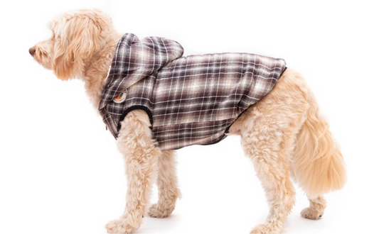 County brown check gilet 41cm