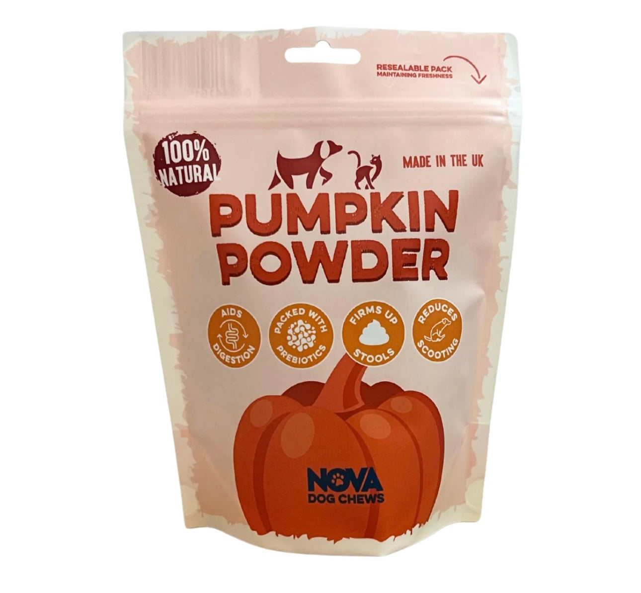 Pumpkin powder