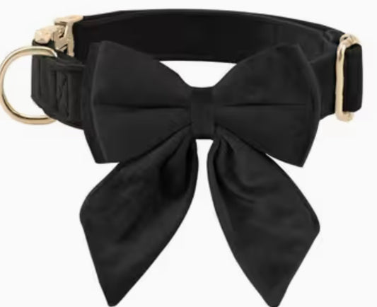 Black bow dog collar