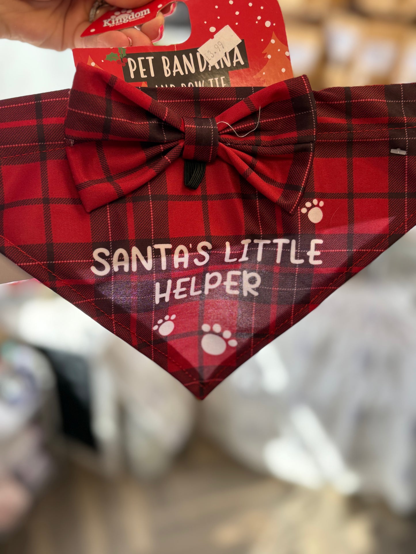 Santas little helper bow and bandanna