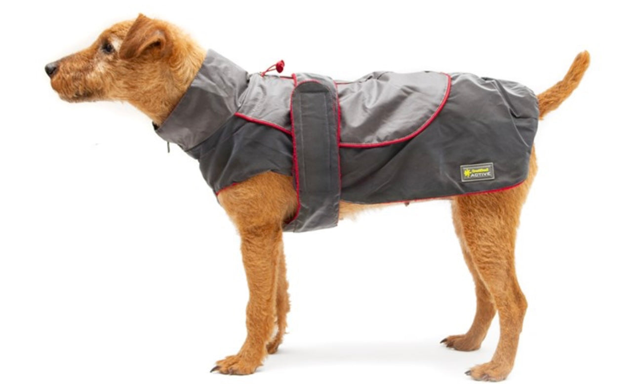 Reflective rainbow coat with red trim 30cm