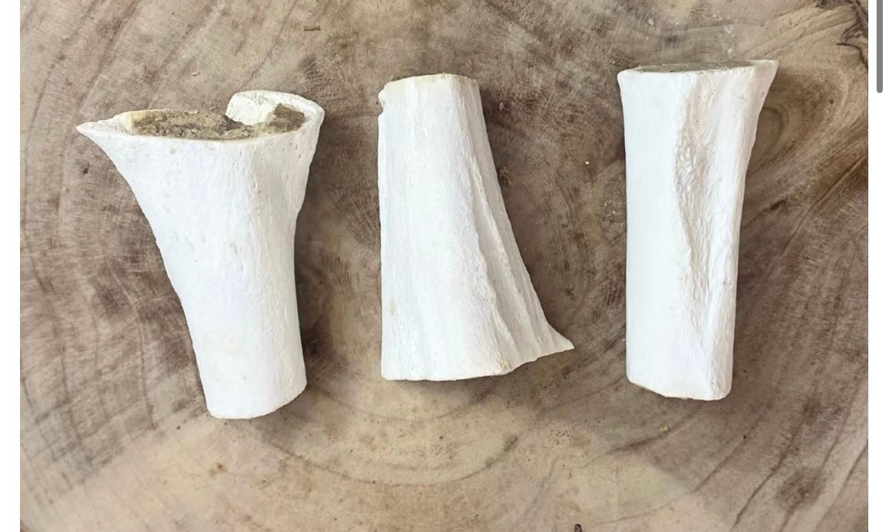Meat filled bone