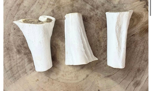 Meat filled bone