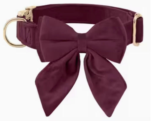 Burgundy dog bow collar