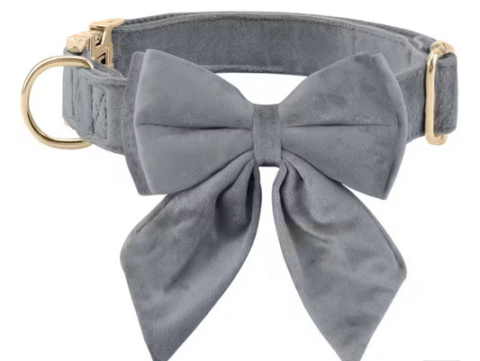 Grey bow collar