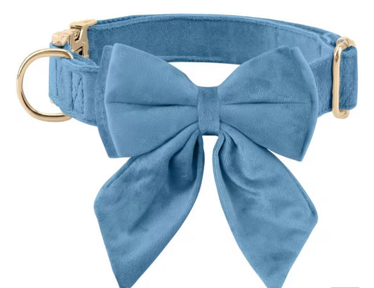 Light blue bow collar