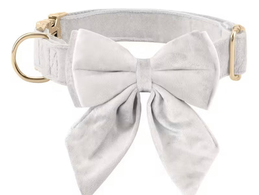 Bow collar white