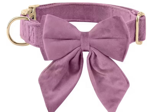 Bow collar pink