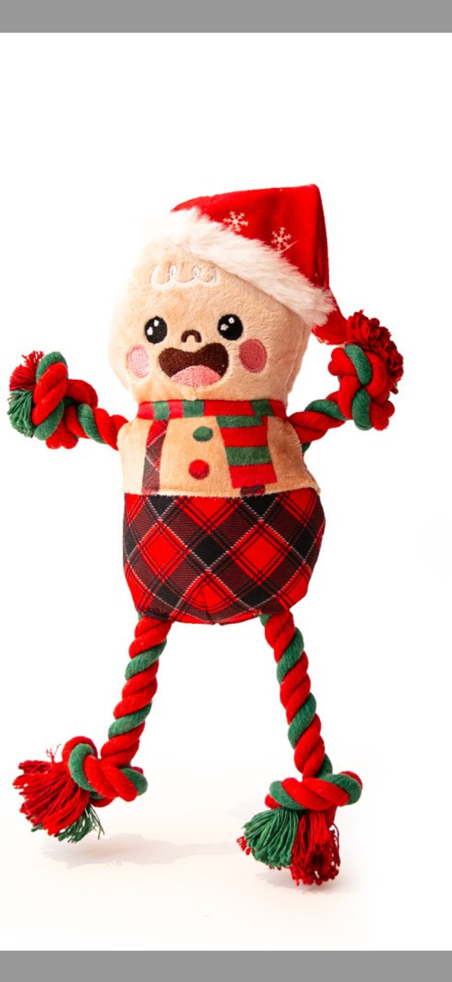Gingerbread Ed with rope
