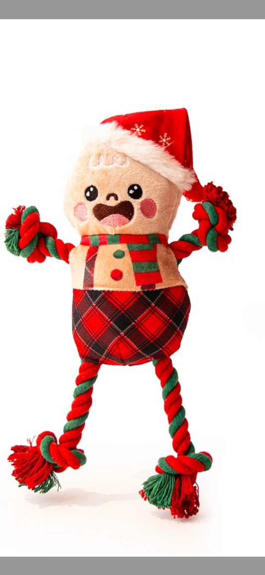 Gingerbread Ed with rope